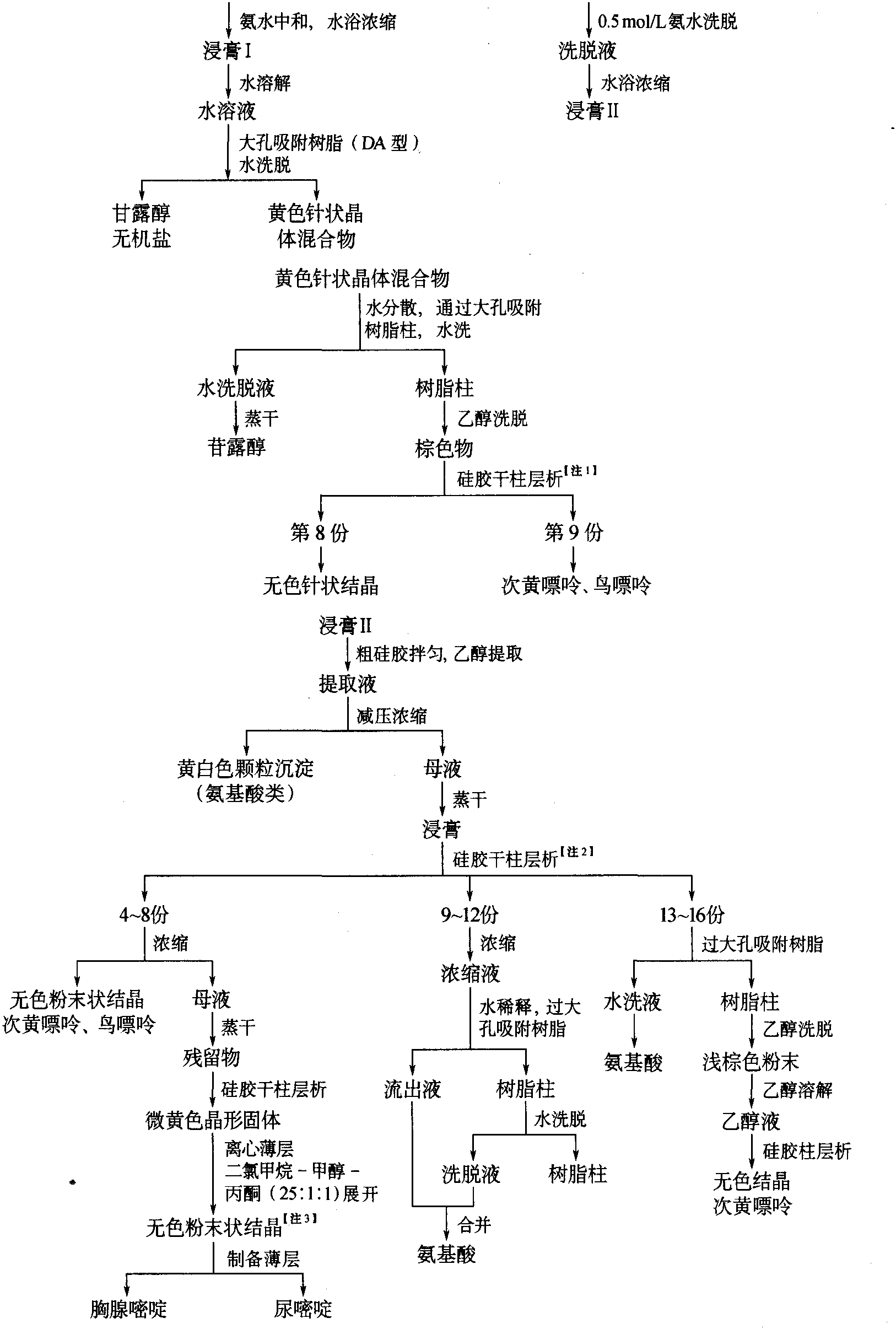 冬蟲夏草